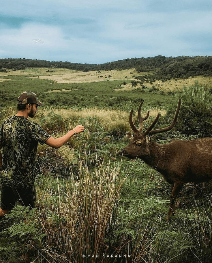 Horton Plains & World's End Trek