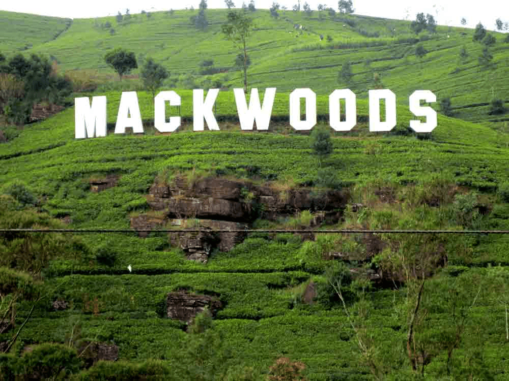 Mackwoods Labookellie