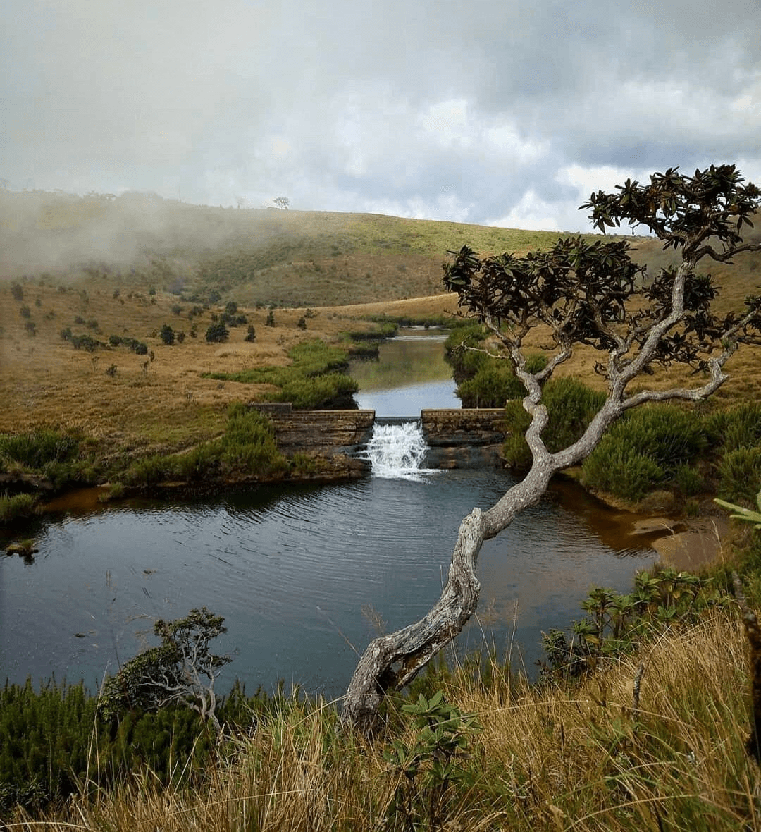 Horton Plains & World's End Trek